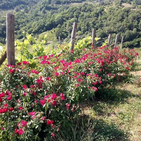 Ca' Del Ri * Gargnano